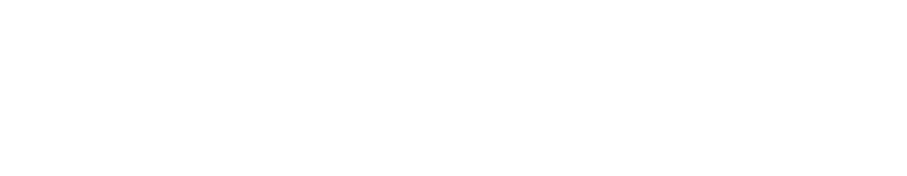 Logo Learning Fer